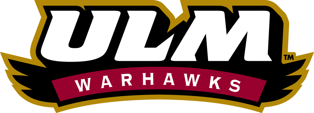 Louisiana-Monroe Warhawks 2006-Pres Wordmark Logo v4 diy fabric transfer